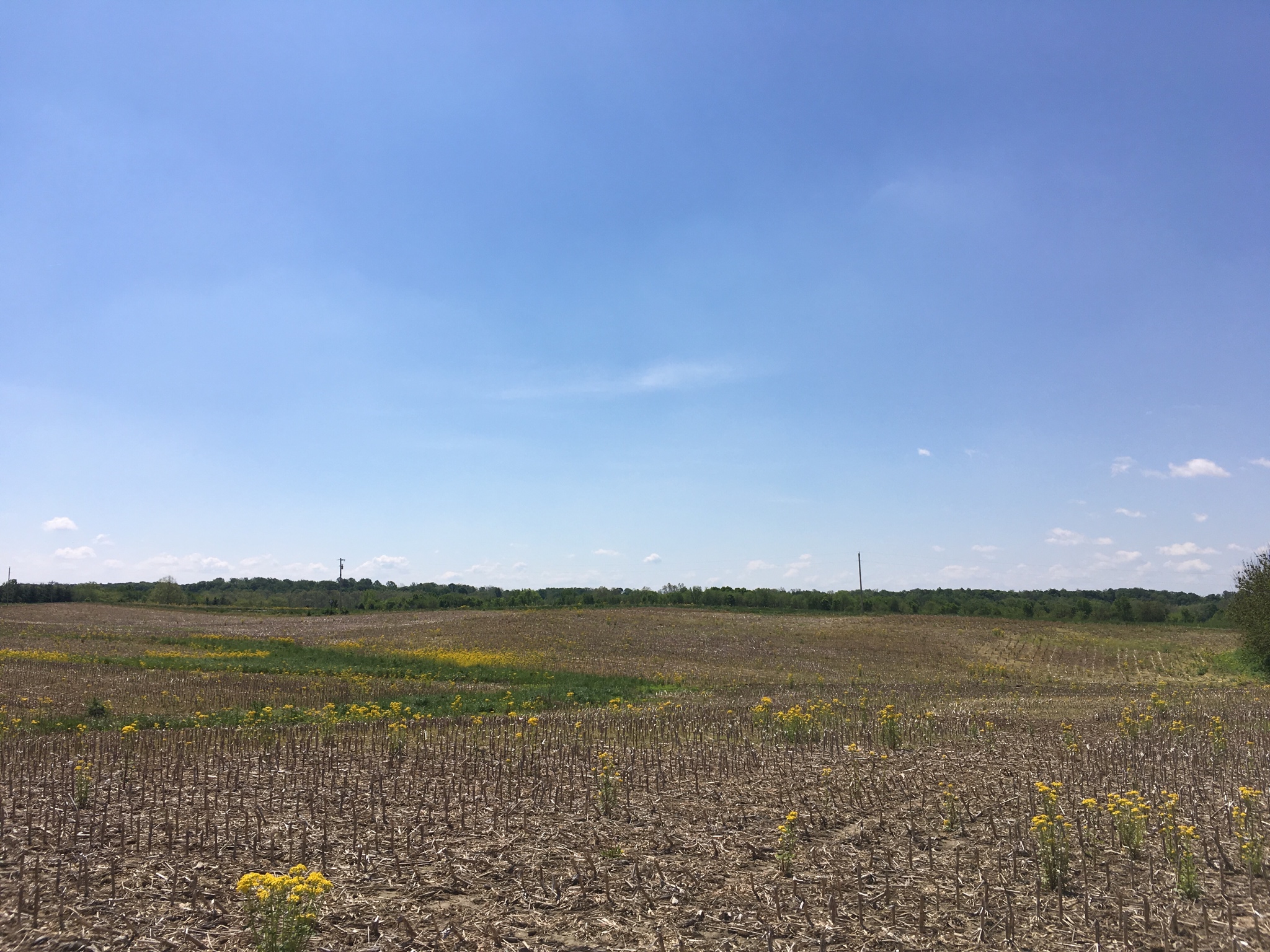 South View from house site