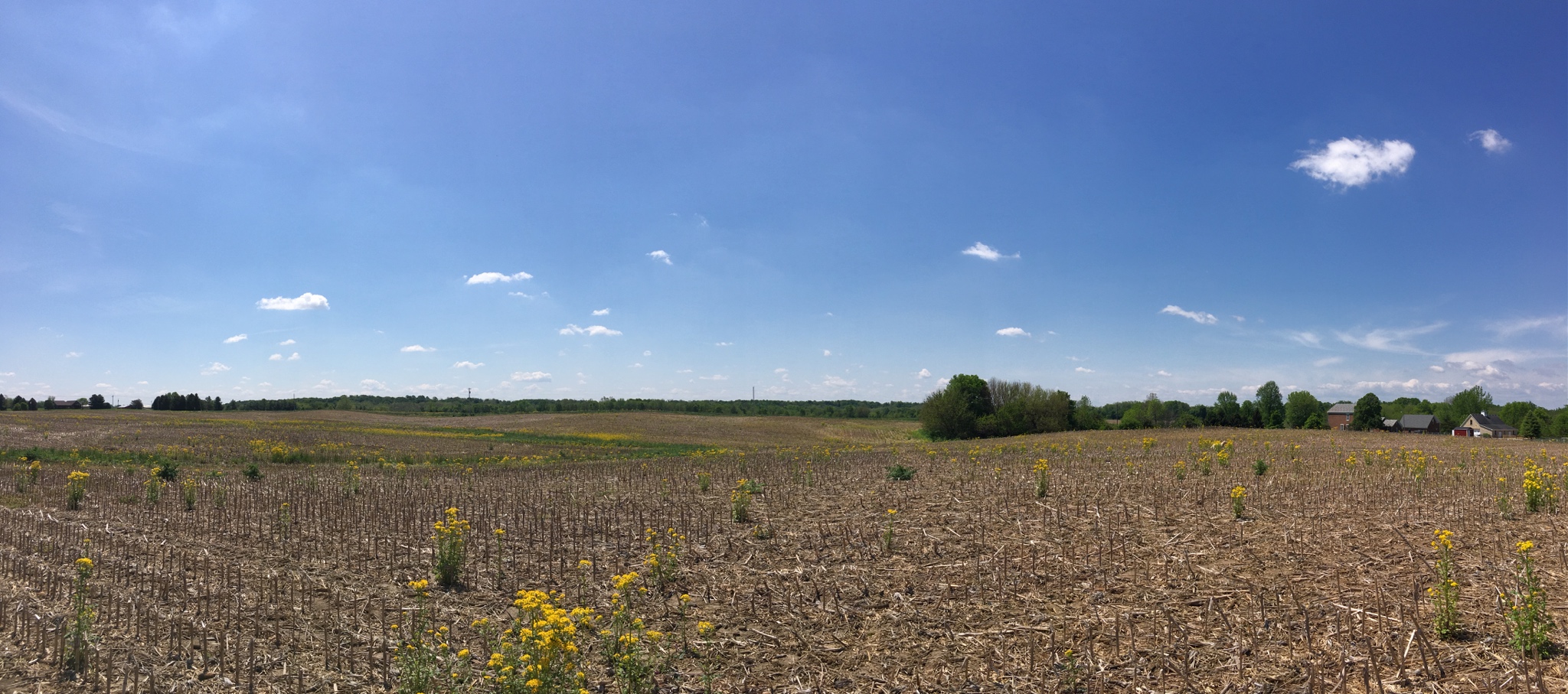 South View from house site